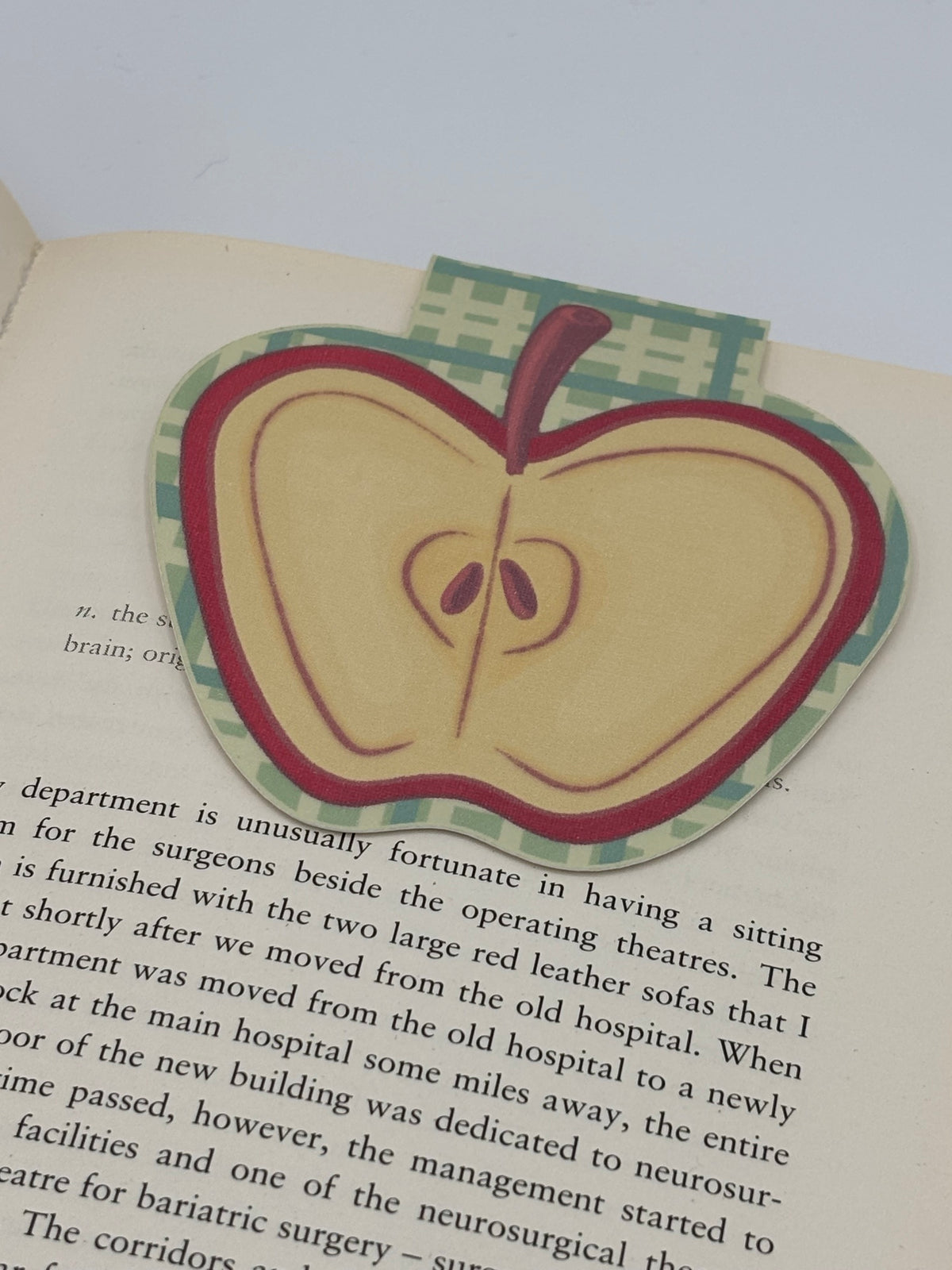 Apple Magnetic Bookmark | Linen or Holographic