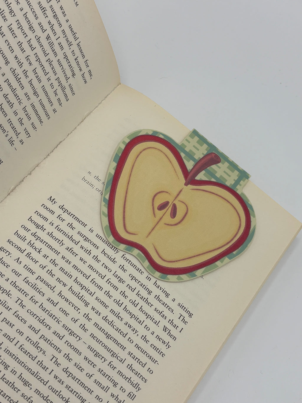 Apple Magnetic Bookmark | Linen or Holographic