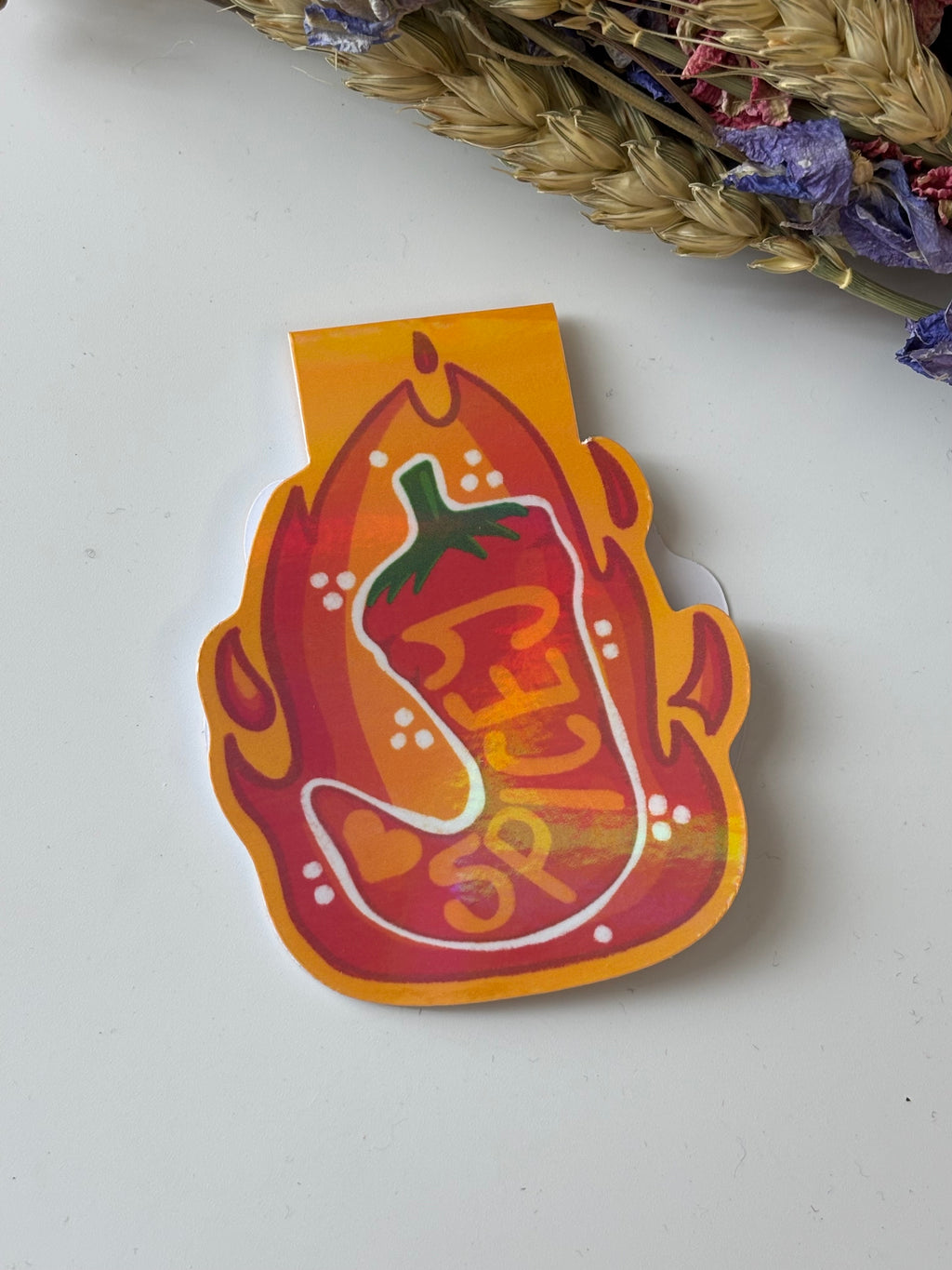 Spicey Magnetic Bookmark